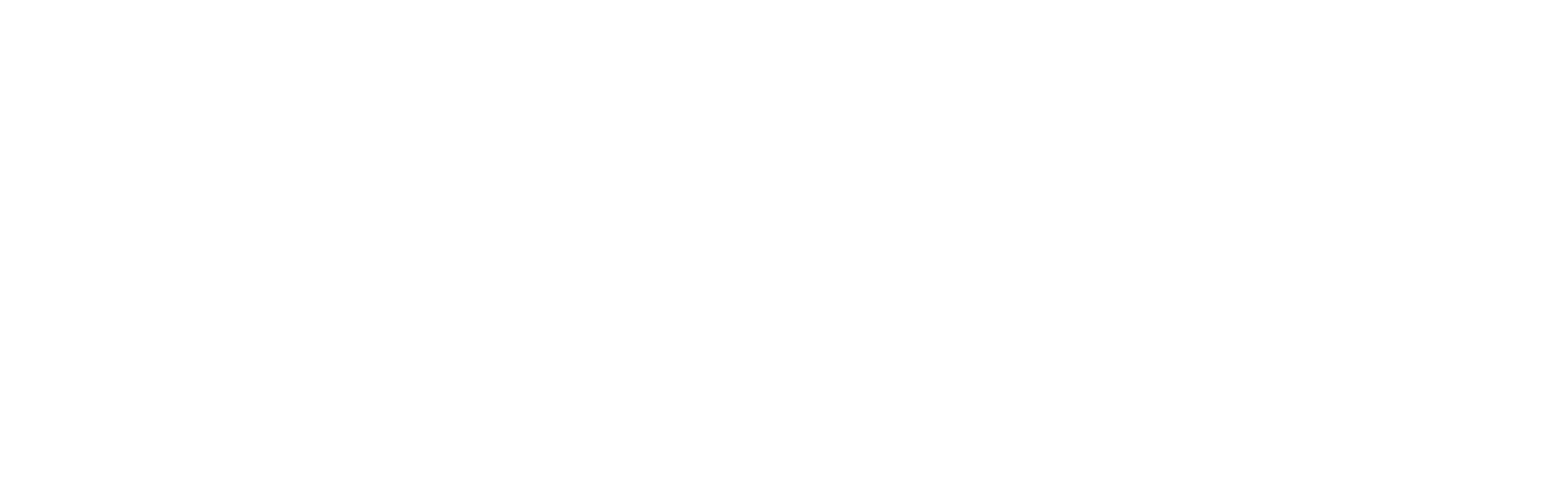 IEEE Computer Society (CS)